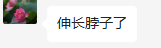 上(shàng)海正晃